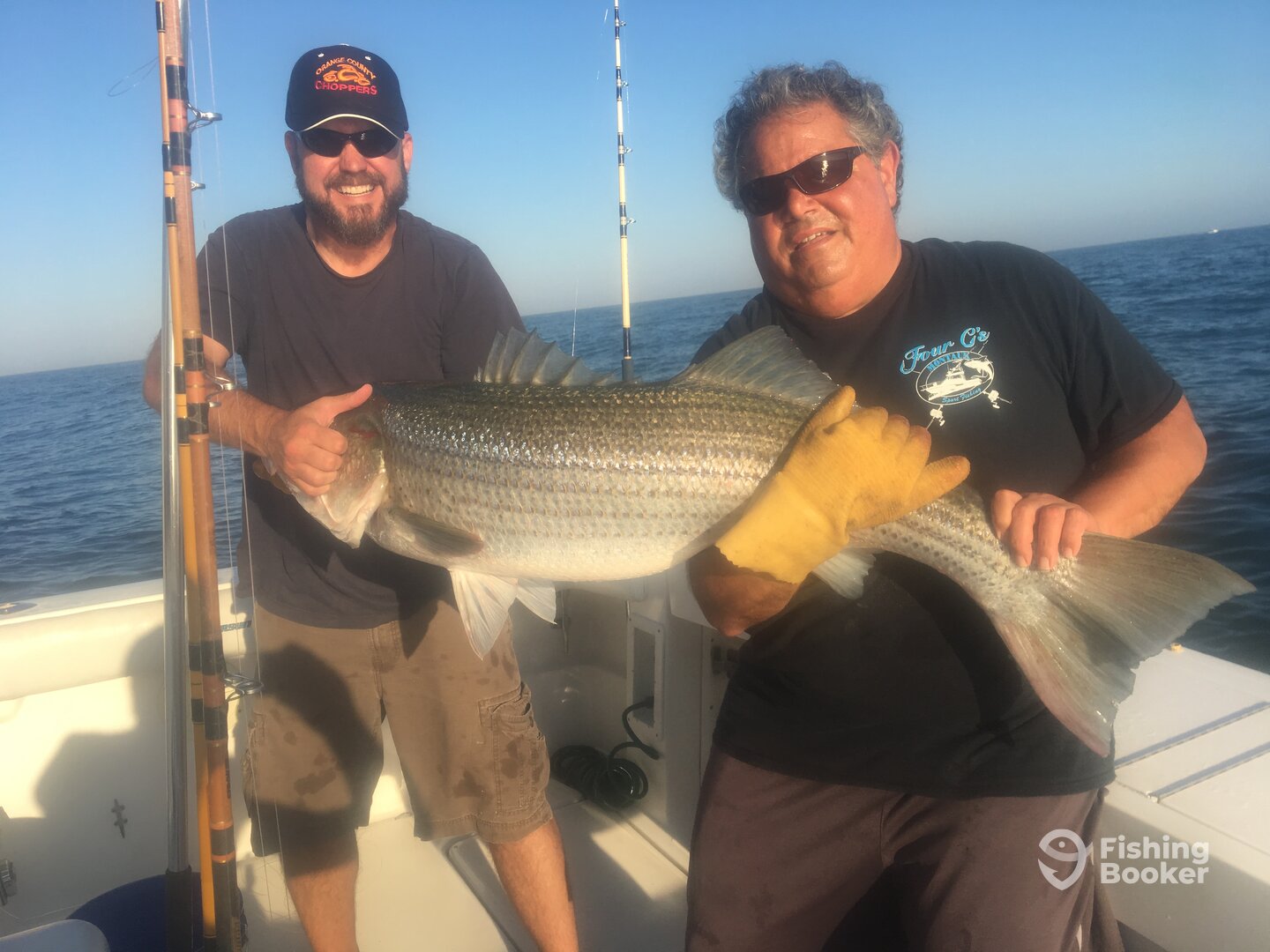 Montauk Report Photo 0