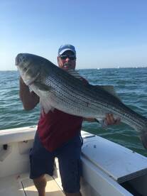 Spectacular Bass bite in Montauk continu
