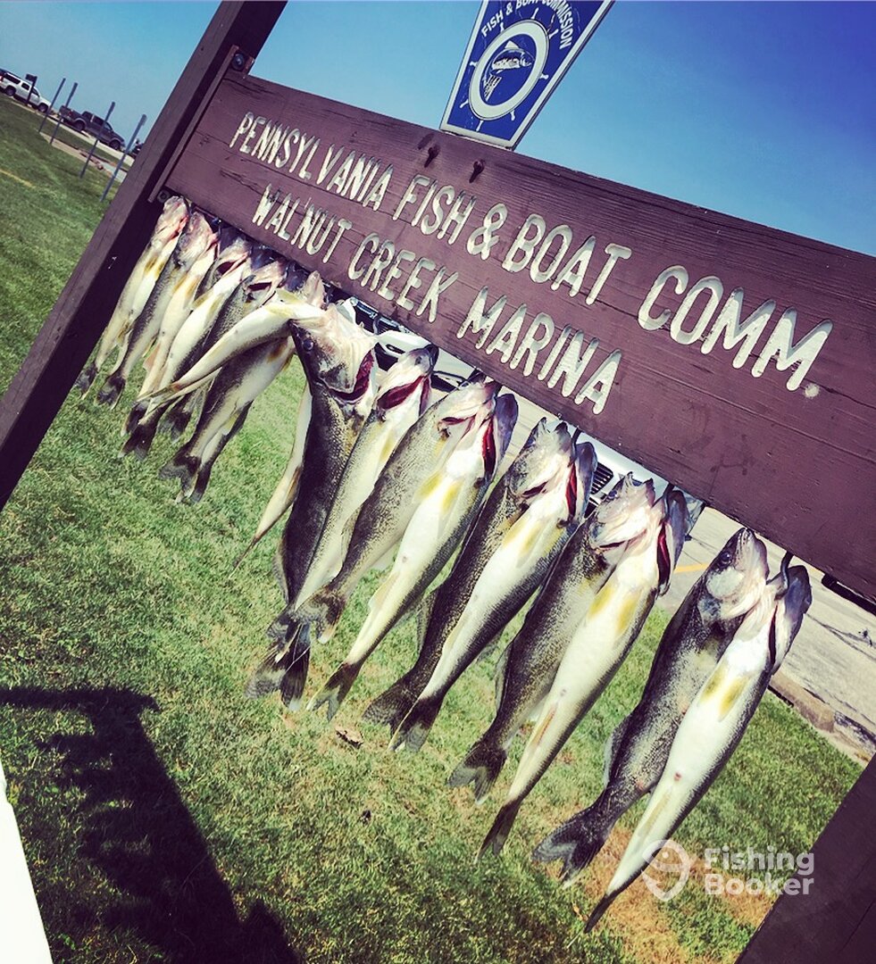 Fairview Report Photo 0