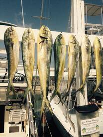 Marathon Report Photo 1