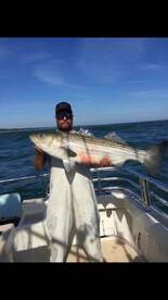 Montauk Verslag Foto 1