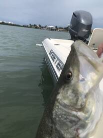 Don’t let the hot weather turn you away!