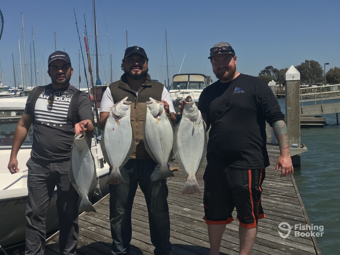 San Francisco Report Photo 0