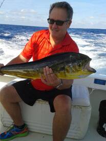 Mahi-mahi catches Are hot!!!
