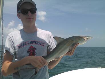 Tampa Report Photo 2