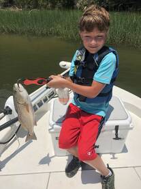 Mount Pleasant Report Photo 1