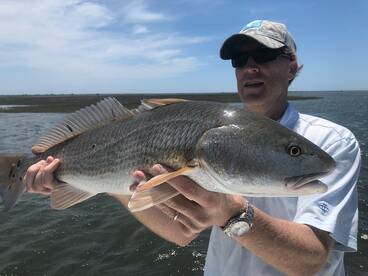 Beaufort Report Photo 1