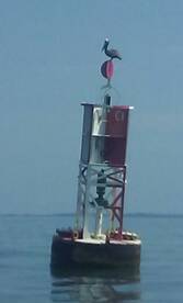 Chincoteague Report Photo 1