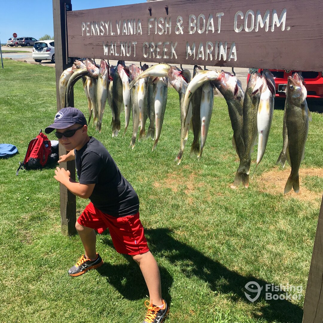 Fairview Report Photo 0