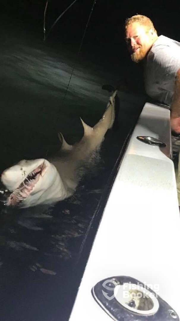 Ocean City Report Photo 0