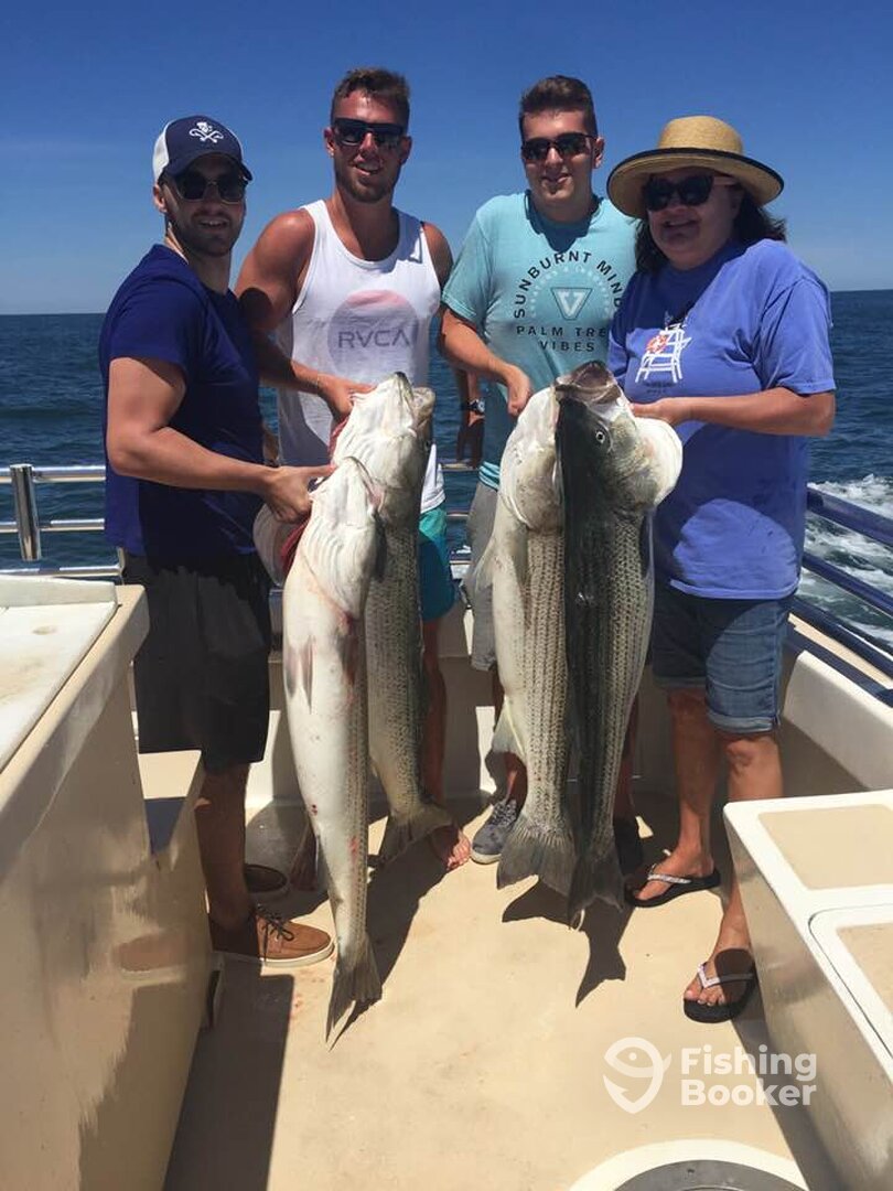 Montauk Report Photo 0