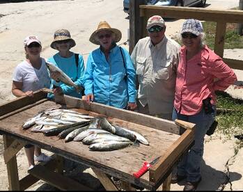 Limit in the Mosquito Lagoon