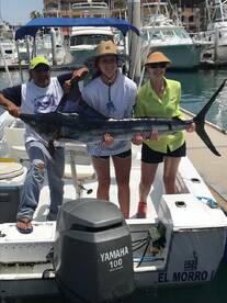 Cabo San Lucas Report Photo 2