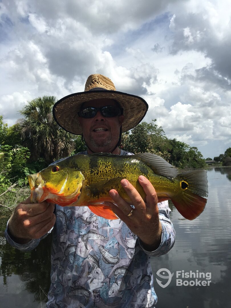 Bonita Springs Report Photo 0