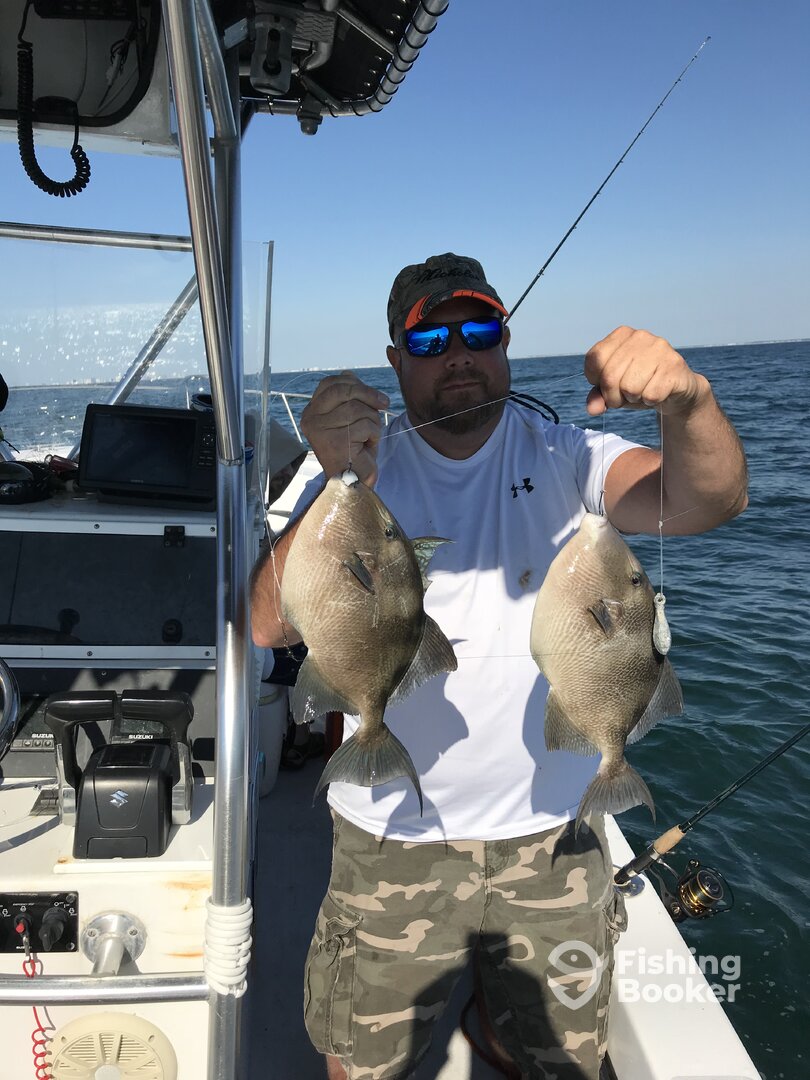 Ocean City Report Photo 0