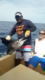 4/4 sail fish and 1 mahi mahi