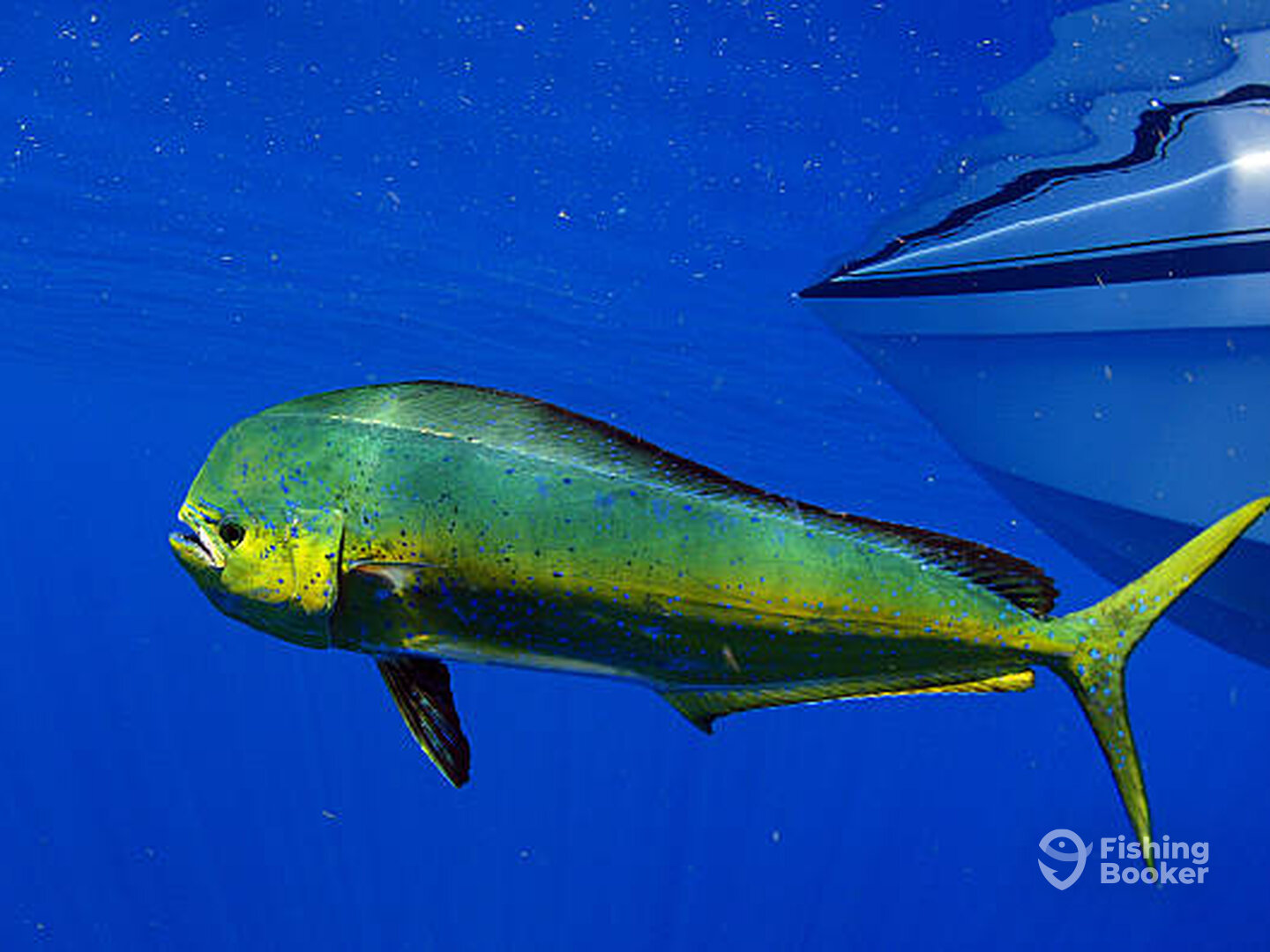 Pompano Beach Report Photo 0