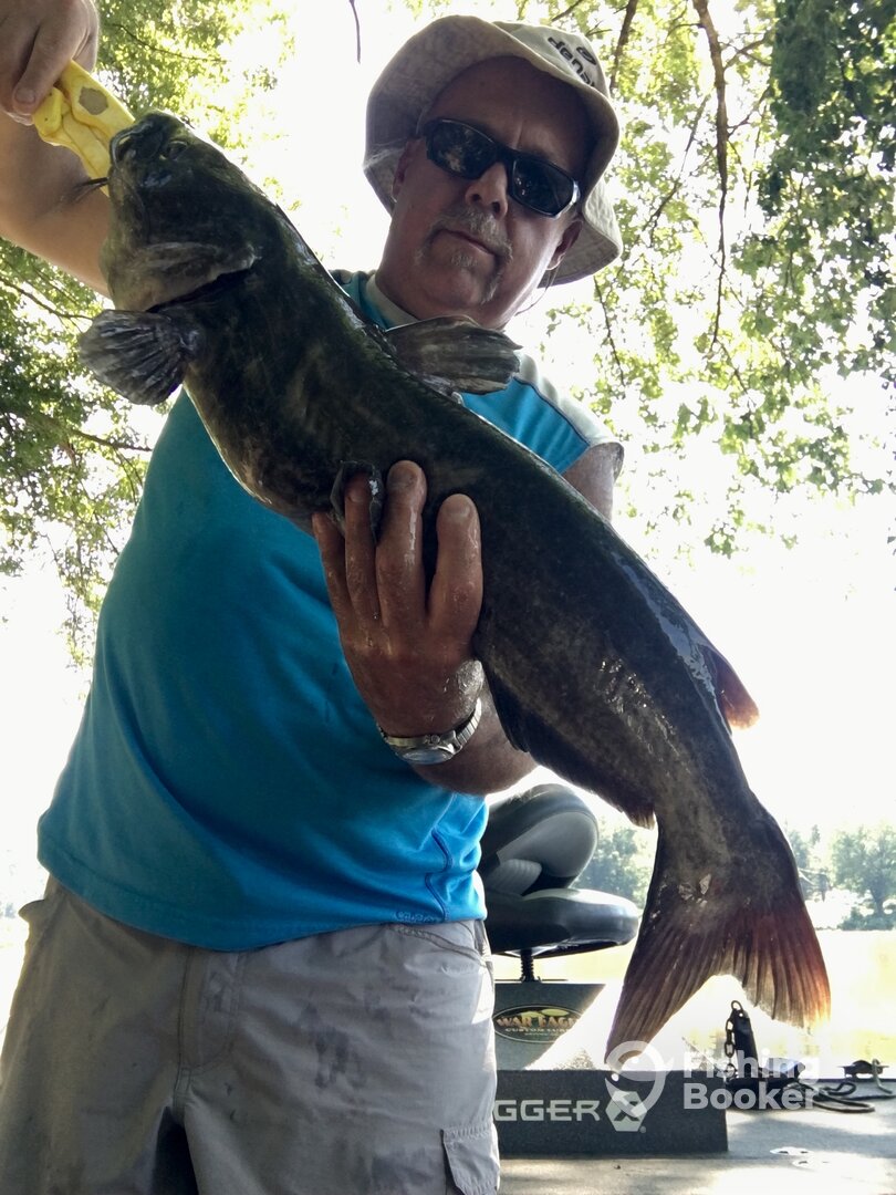 Harding Report Photo 0