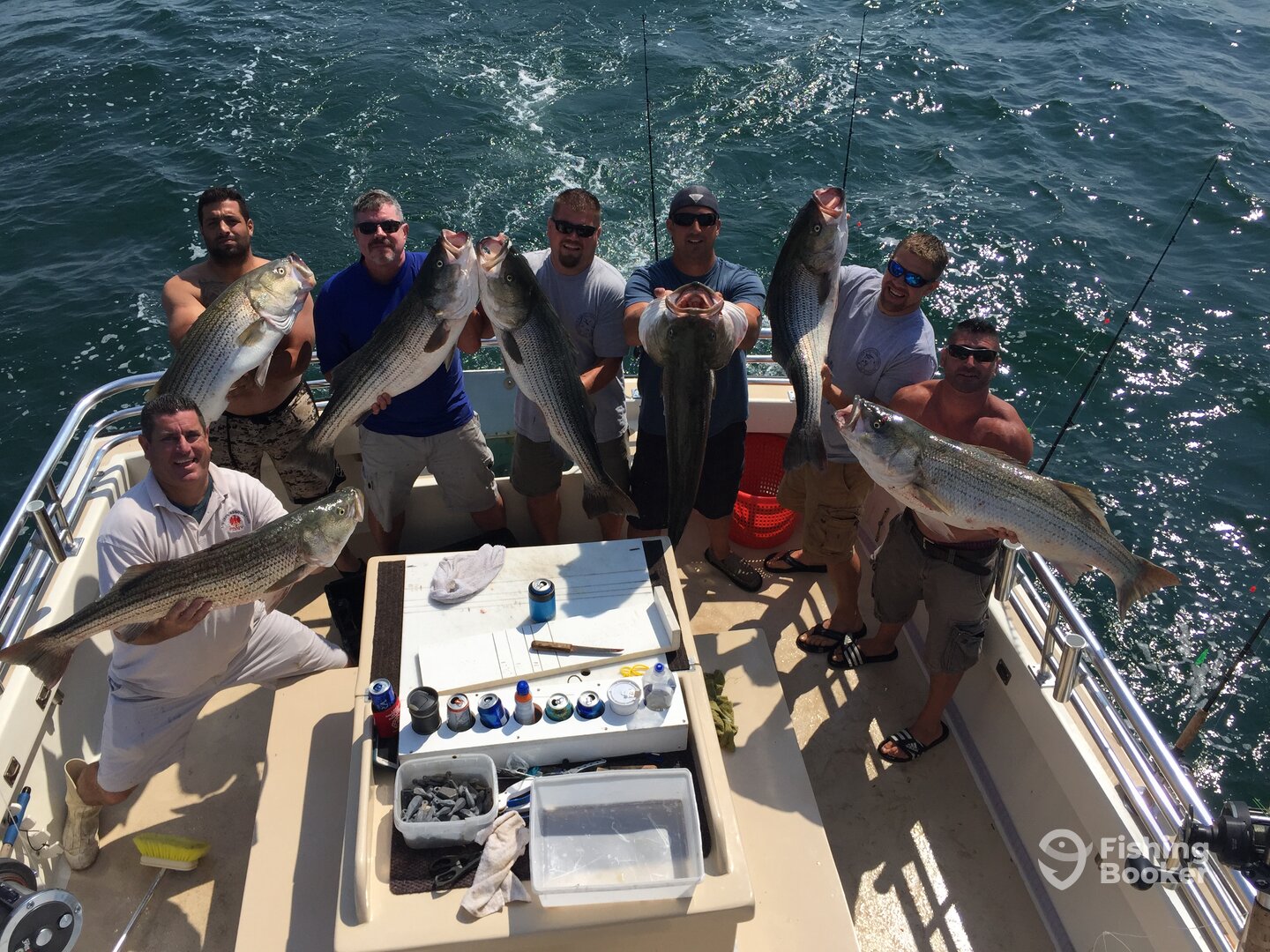 Montauk Report Photo 0