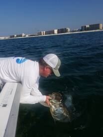 Destin Report Photo 2