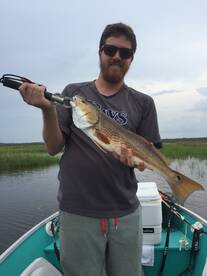 Jacksonville Report Photo 1