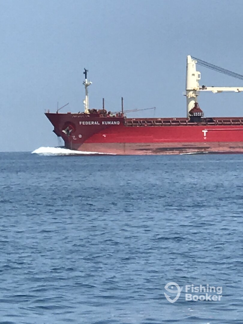 Olcott Report Photo 0