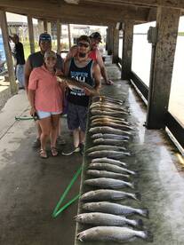 Venice Report Photo 2