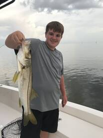 St. Petersburg Report Photo 1