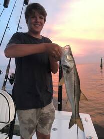 St. Petersburg Report Photo 2