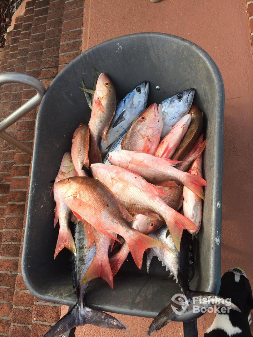 Fort Lauderdale Report Photo 0