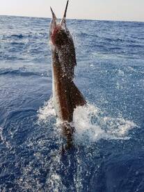 Guatemala Report Photo 1