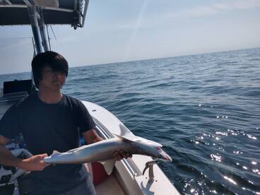 Darien Report Photo 2