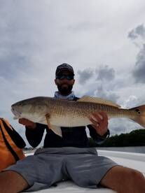 St. Petersburg Report Photo 2