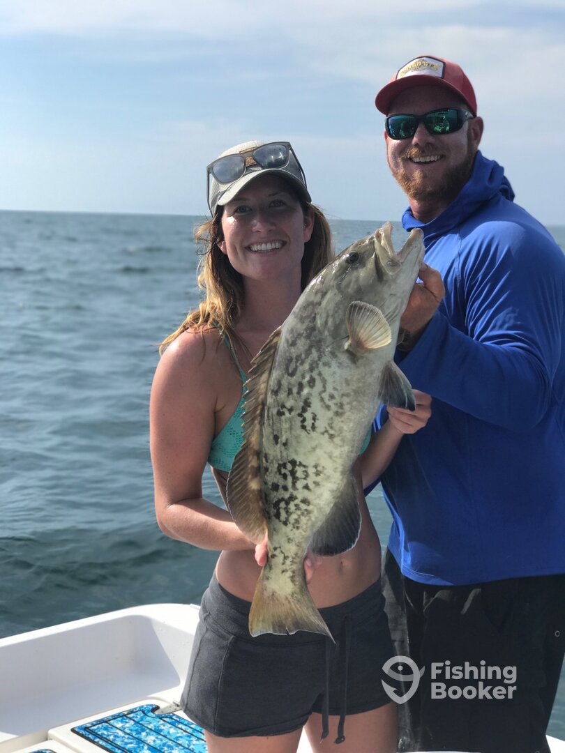 Sarasota Report Photo 0