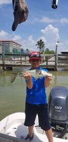 Bonita Springs Report Photo 1