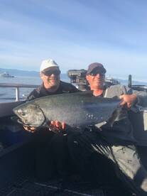 Plenty of Salmon here in Sooke
