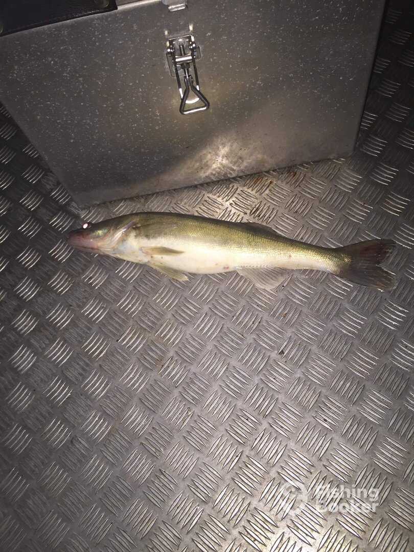 Stockholm Report Photo 0