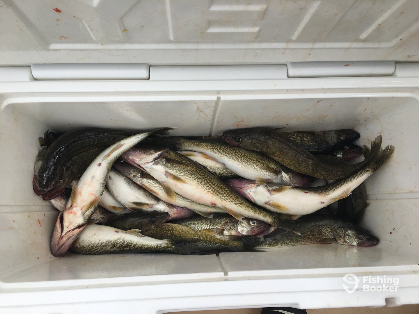 Fairview Report Photo 0