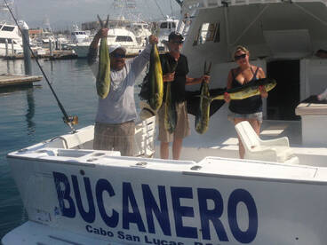 Cabo San Lucas Report Photo 2