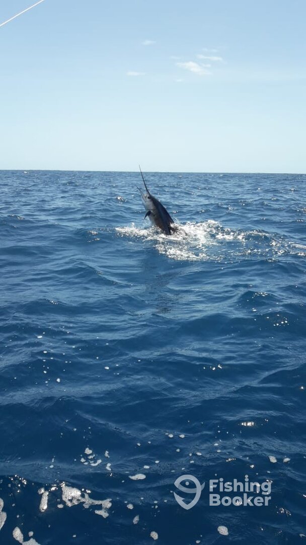 Playa Flamingo Report Photo 0