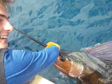 Playa Flamingo Report Photo 1