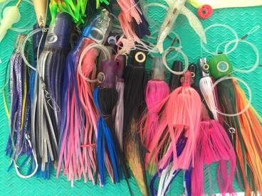 Quepos Report Photo 2