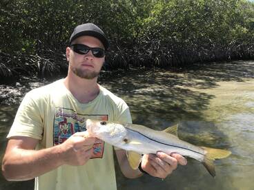 Stuart Report Photo 1