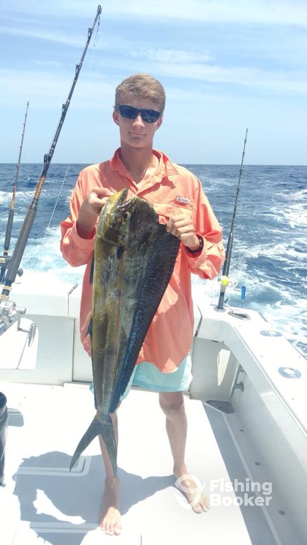 Tamarindo Report Photo 0