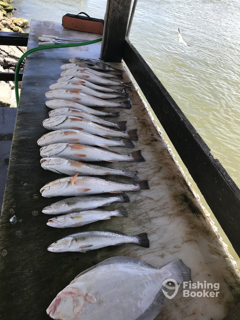 Venice Report Photo 0