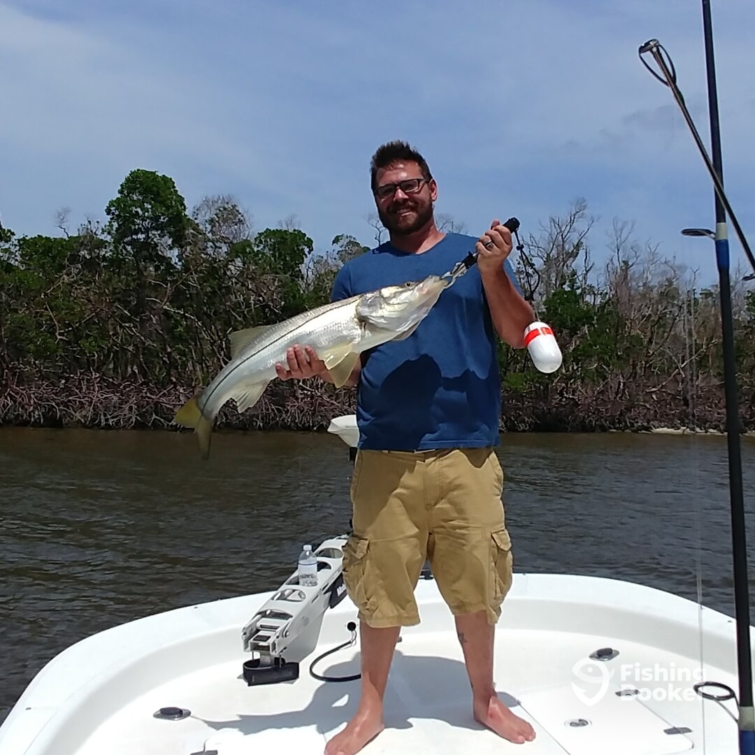 Naples Ten Thousand Islands Snook