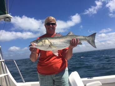 Dennis Verslag Foto 1