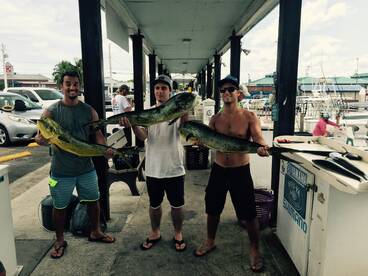 Mahi, Tuna and Wahoo in August