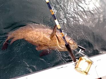 Stuart Report Photo 1