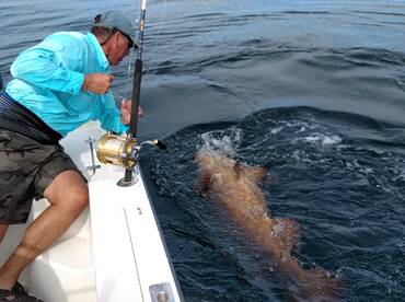 Stuart Report Photo 2